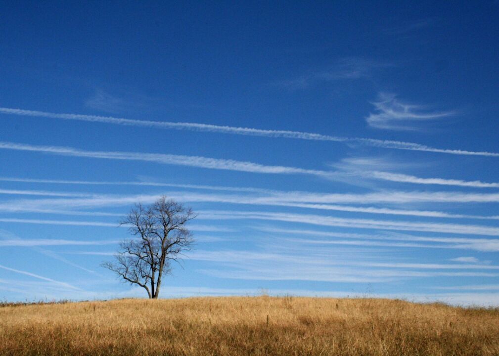 #15. Kansas